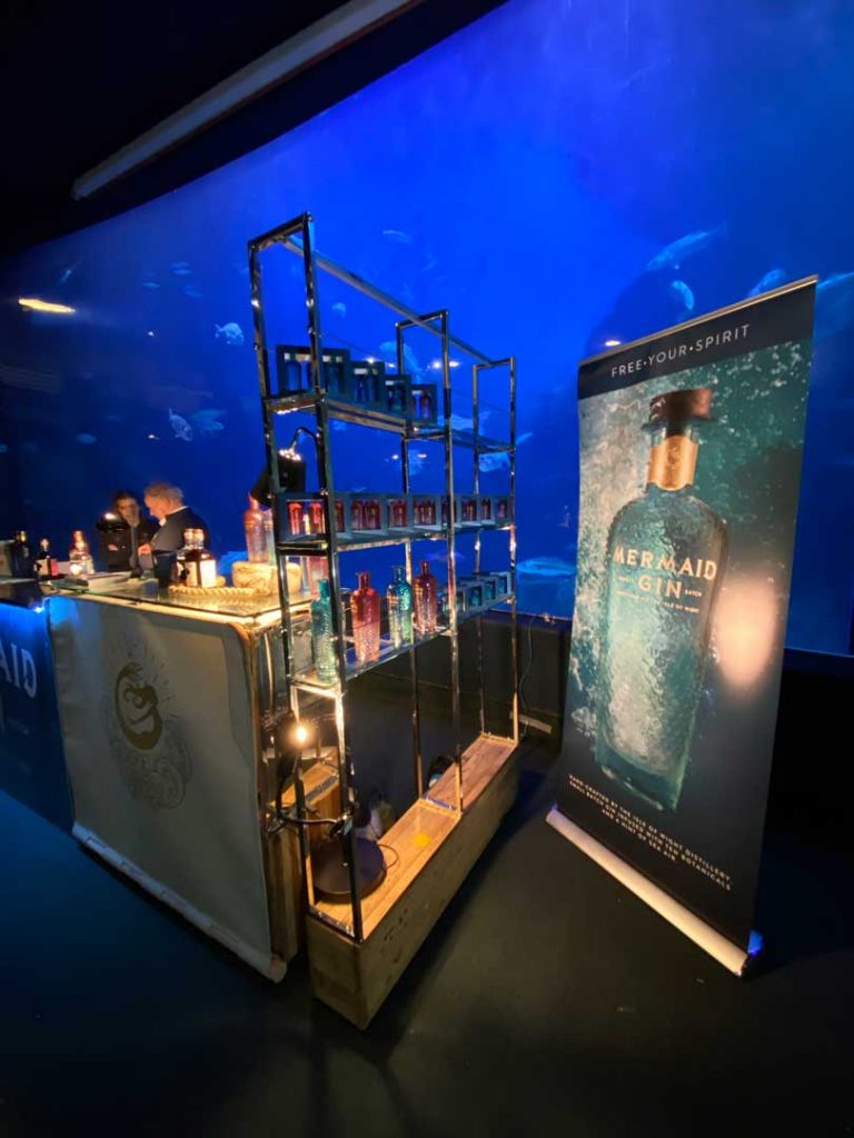 mermaid-gin-fins-plymouth-aquarium