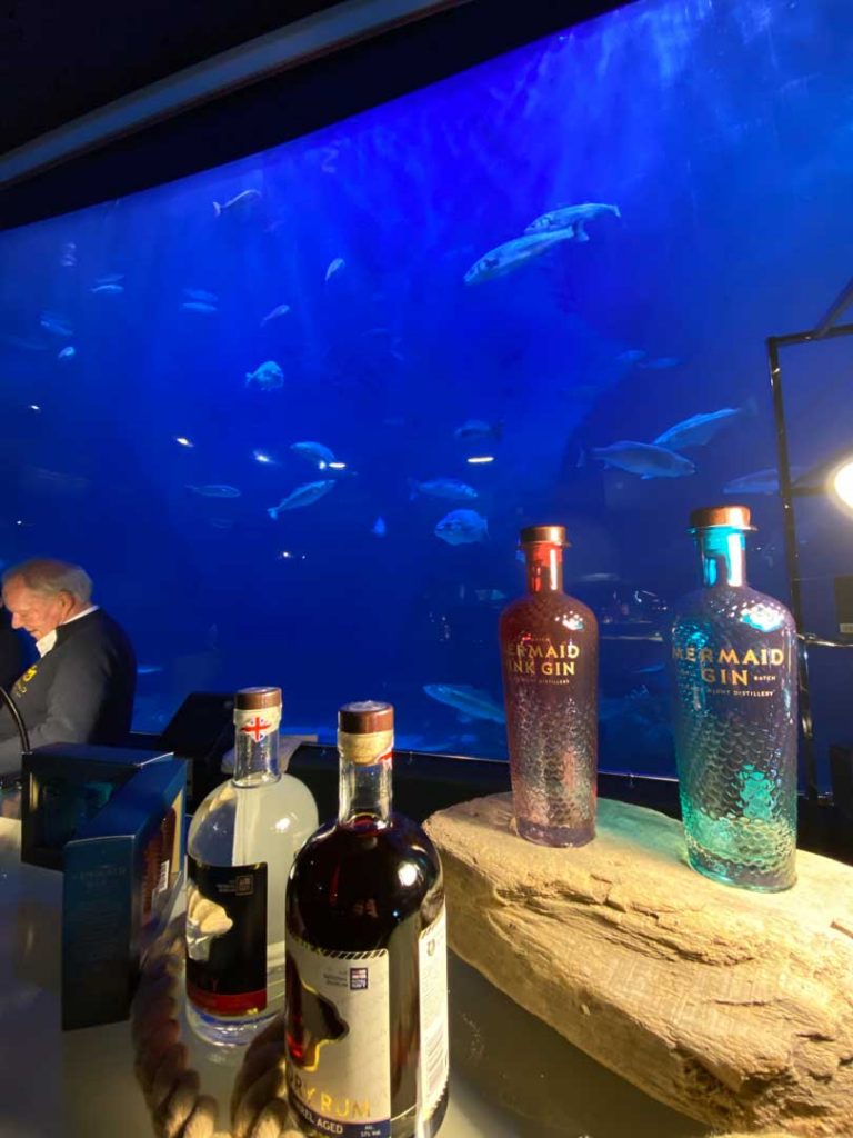 mermaid-gin-tank-fins